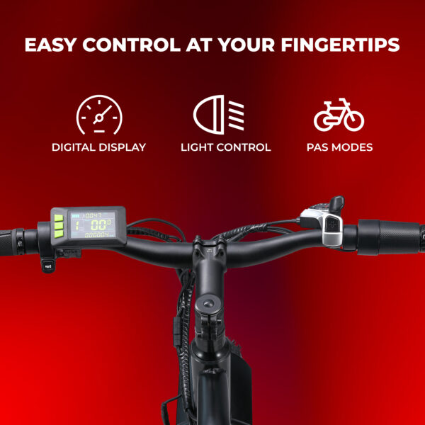 Info Digital Display RKS eBike